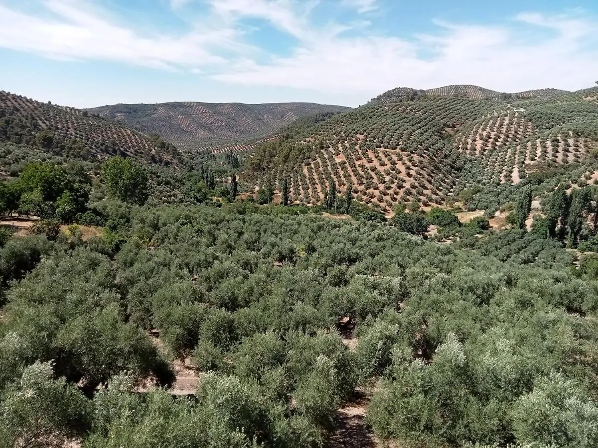 Villa El Almendro De La Tia Teresa Prados de Armijo Сasa de vacaciones