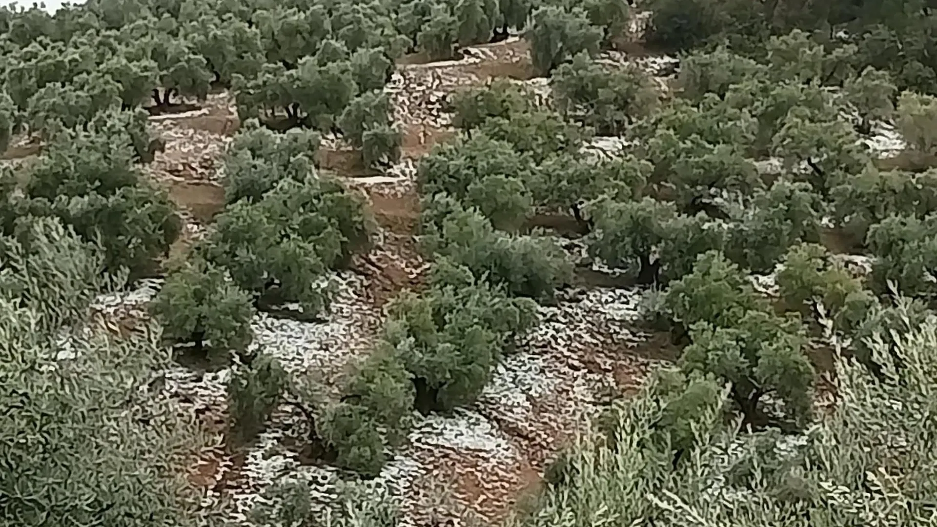 Villa El Almendro De La Tia Teresa Prados de Armijo
