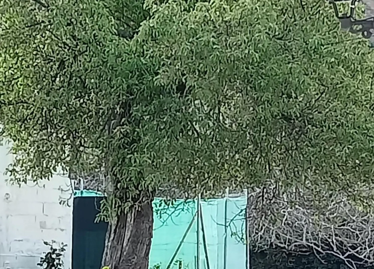Сasa de vacaciones Villa El Almendro De La Tia Teresa Prados de Armijo